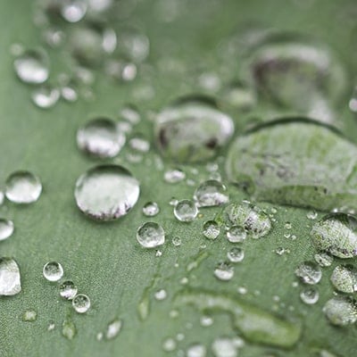 Растительный глицерин